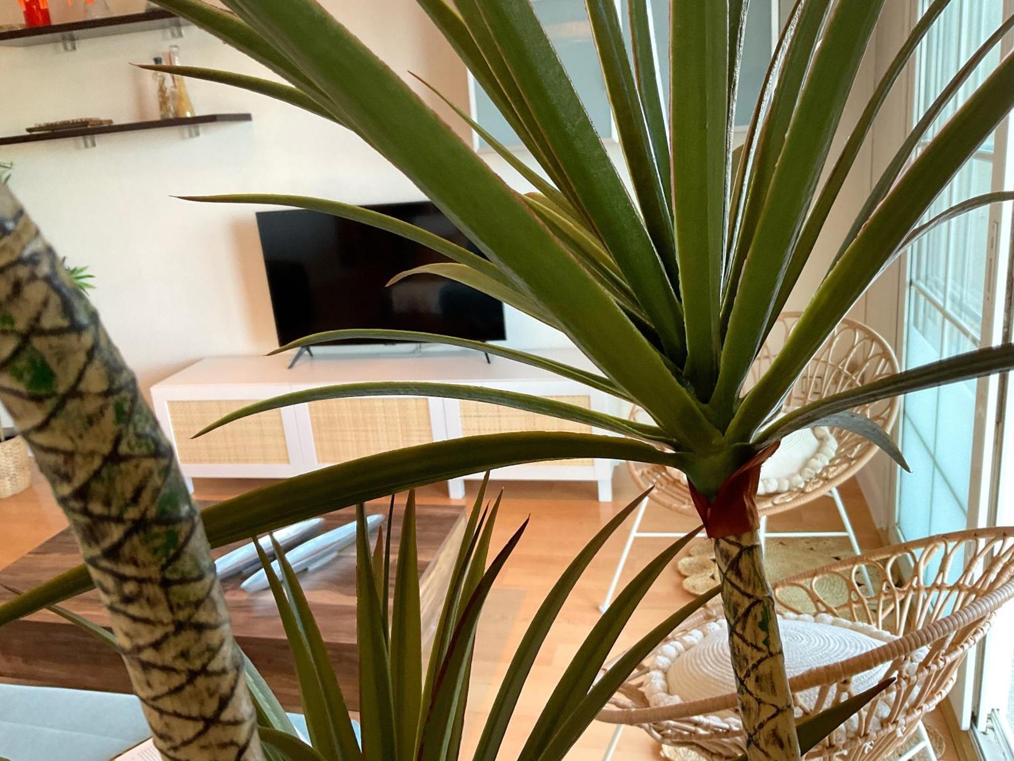 Ks Golf Playa - Kaleria Suites Almeria Luaran gambar